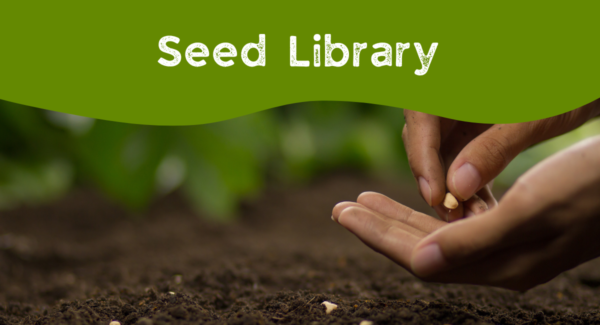 A hand holding a seed